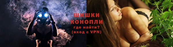 ПСИЛОЦИБИНОВЫЕ ГРИБЫ Алагир