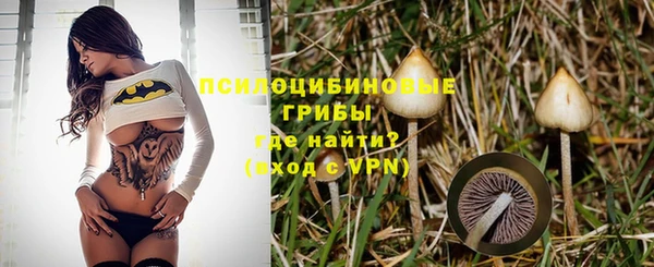 a pvp Надым