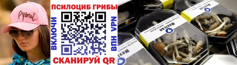 где найти наркотики  hydra ONION  Псилоцибиновые грибы прущие грибы  Тамбов 