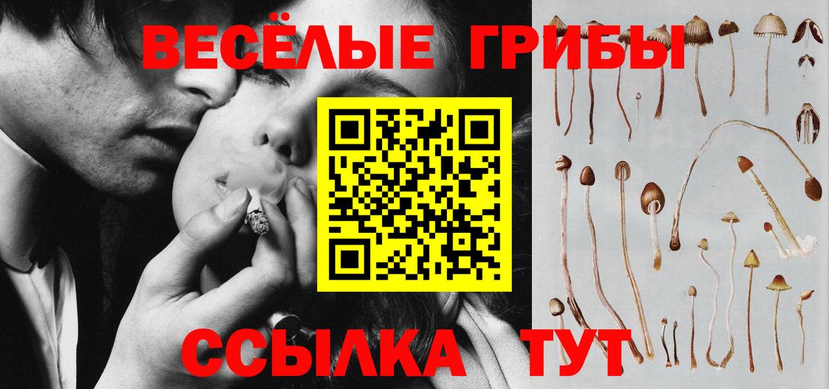 Тамбов  Псилоцибиновые грибы мицелий  Вход с VPN  Галлюциногенные грибы ЛСД 
