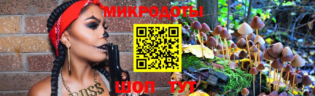 Псилоцибиновые грибы Psilocybine cubensis Тамбов