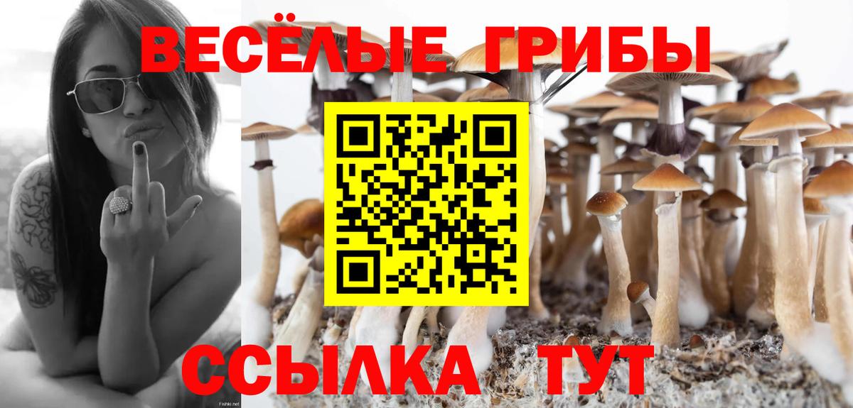 Тамбов  Вход с VPN  Меф МЯУ МЯУ кристаллы  Метамфетамин  ГАШИШ  APVP СОЛЬ   Каннабис 